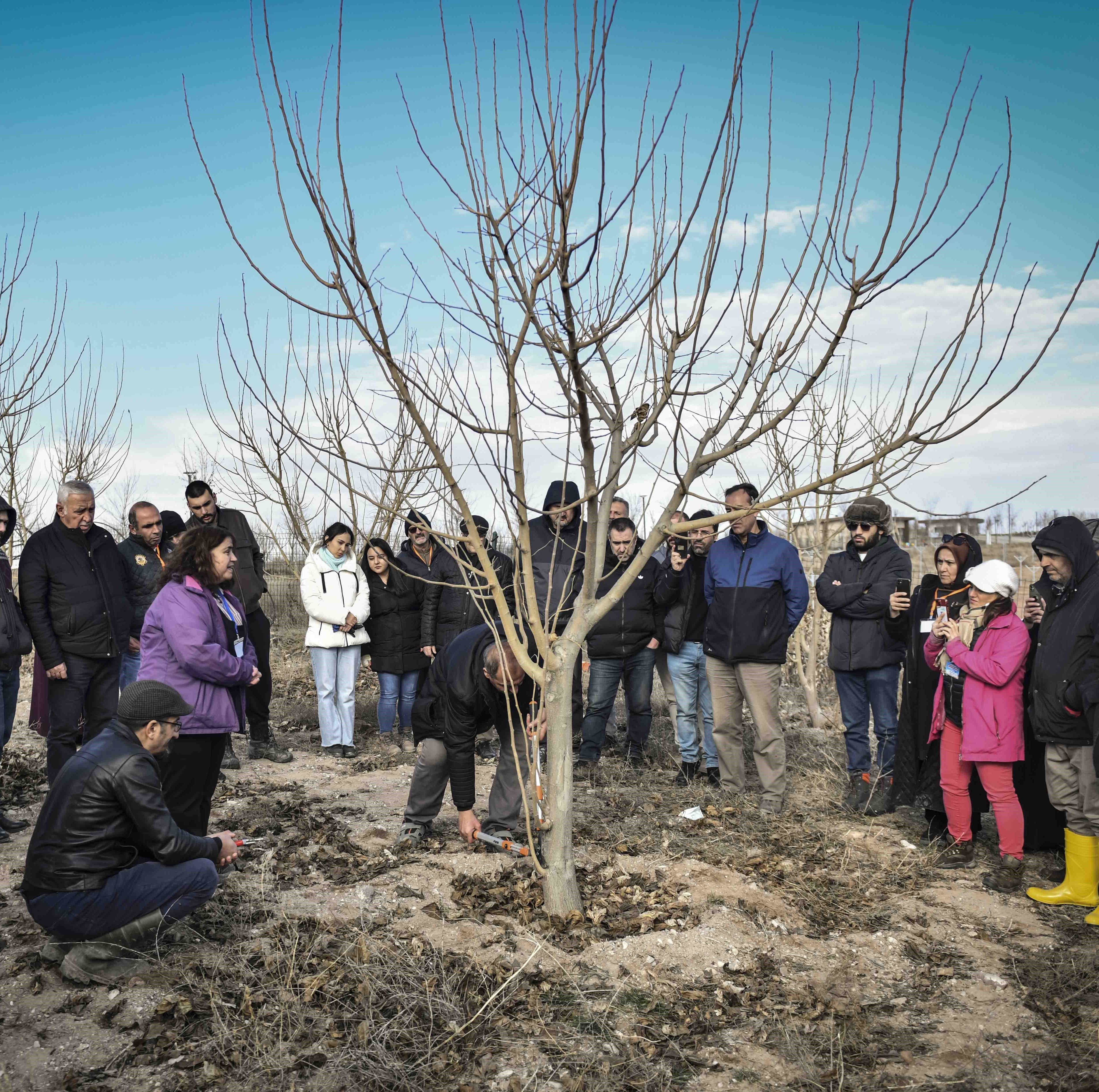 ABB'den meyve ağaçlarının gelişimine destek