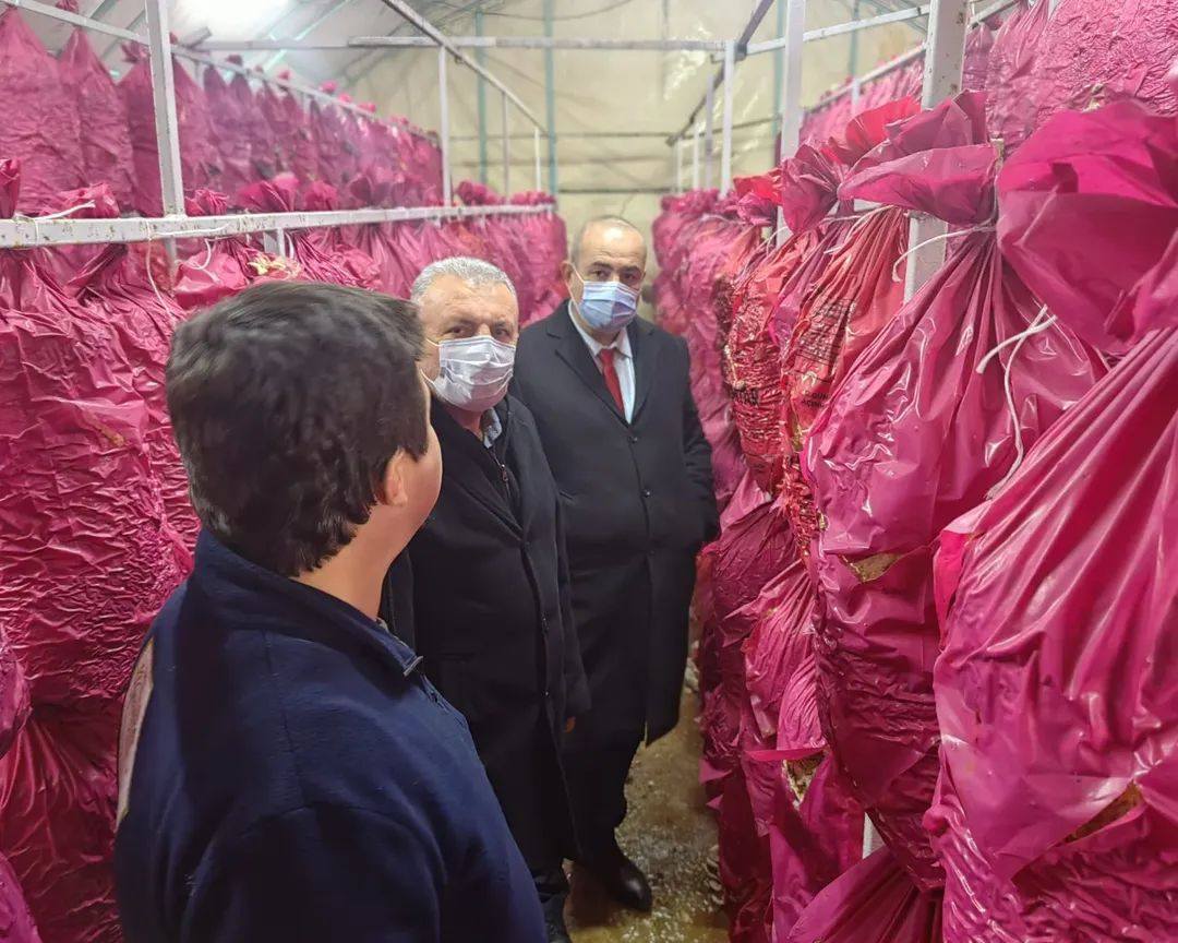 Mantarcılık kursunda teori ve uygulama buluştu