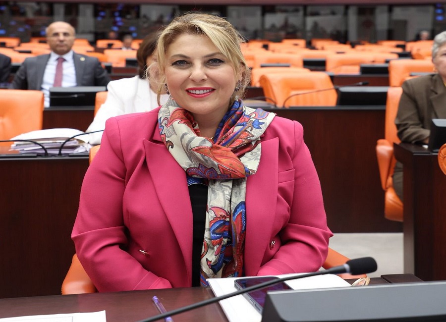 Elvan Işık Gezmiş; Emekli maaşı lütuf değil