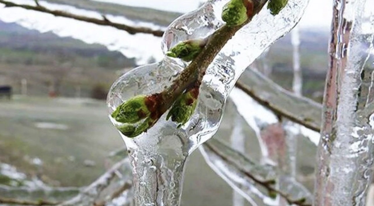 Antalya’da yayla dondu