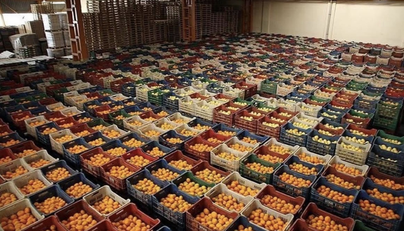 Antalya ihracatının yüzde 57’si tarımdan