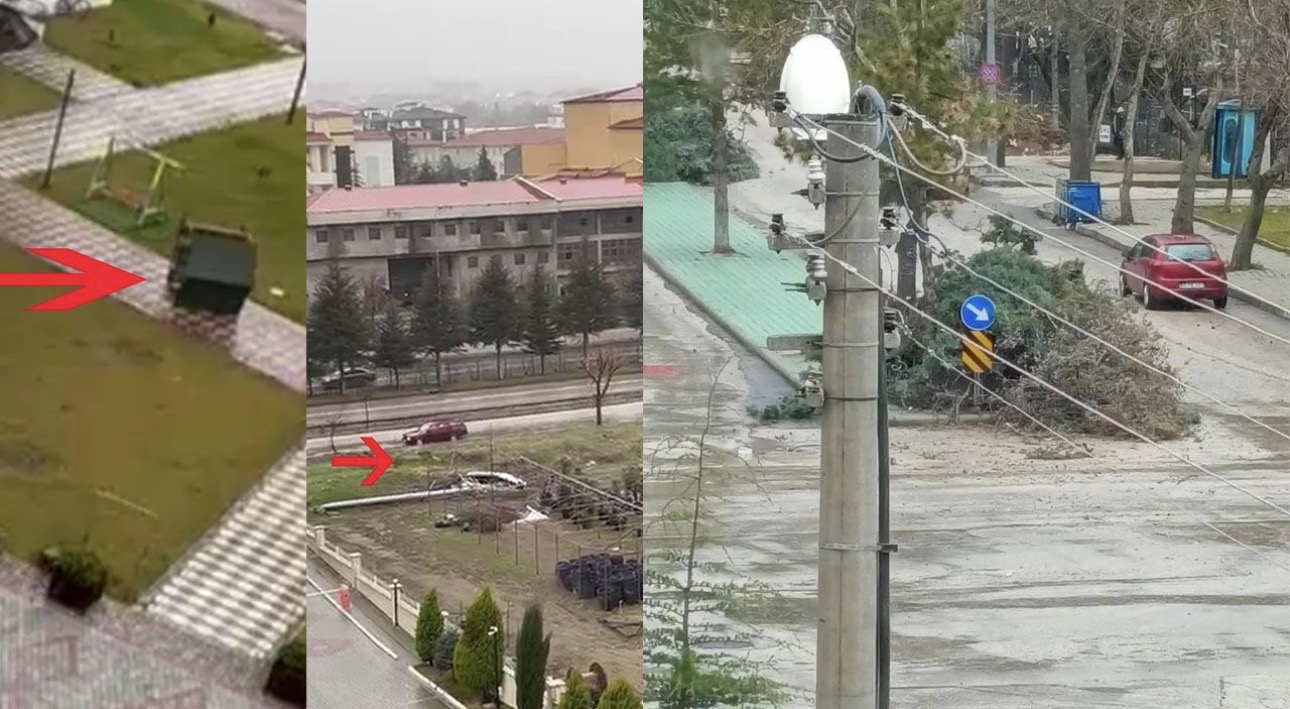 Şiddetli rüzgarda ağaçlar devrildi kamelyalar uçtu