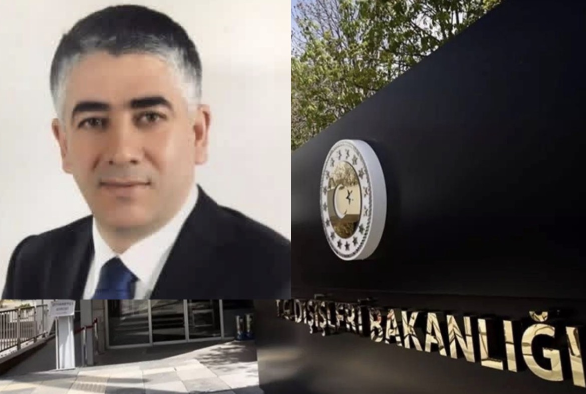 Hacı Ali Özel, Dışişleri bakan yardımcılığına atandı