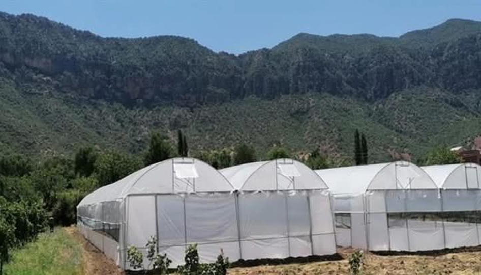 Seralarda yıkım hasat sonrasına ertelendi