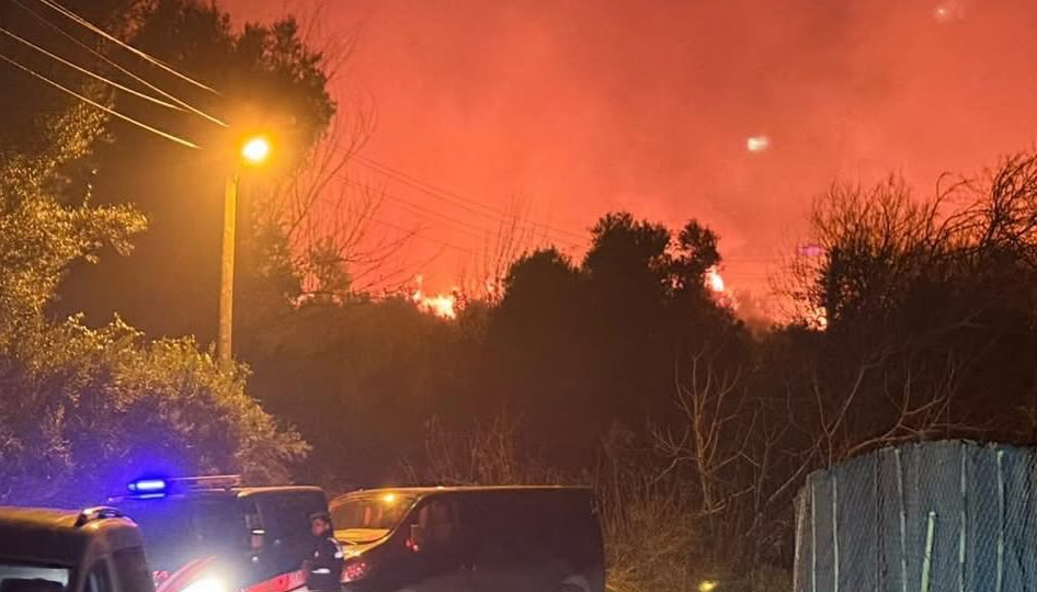 Antalya’nın Serik ilçesinde orman yangını