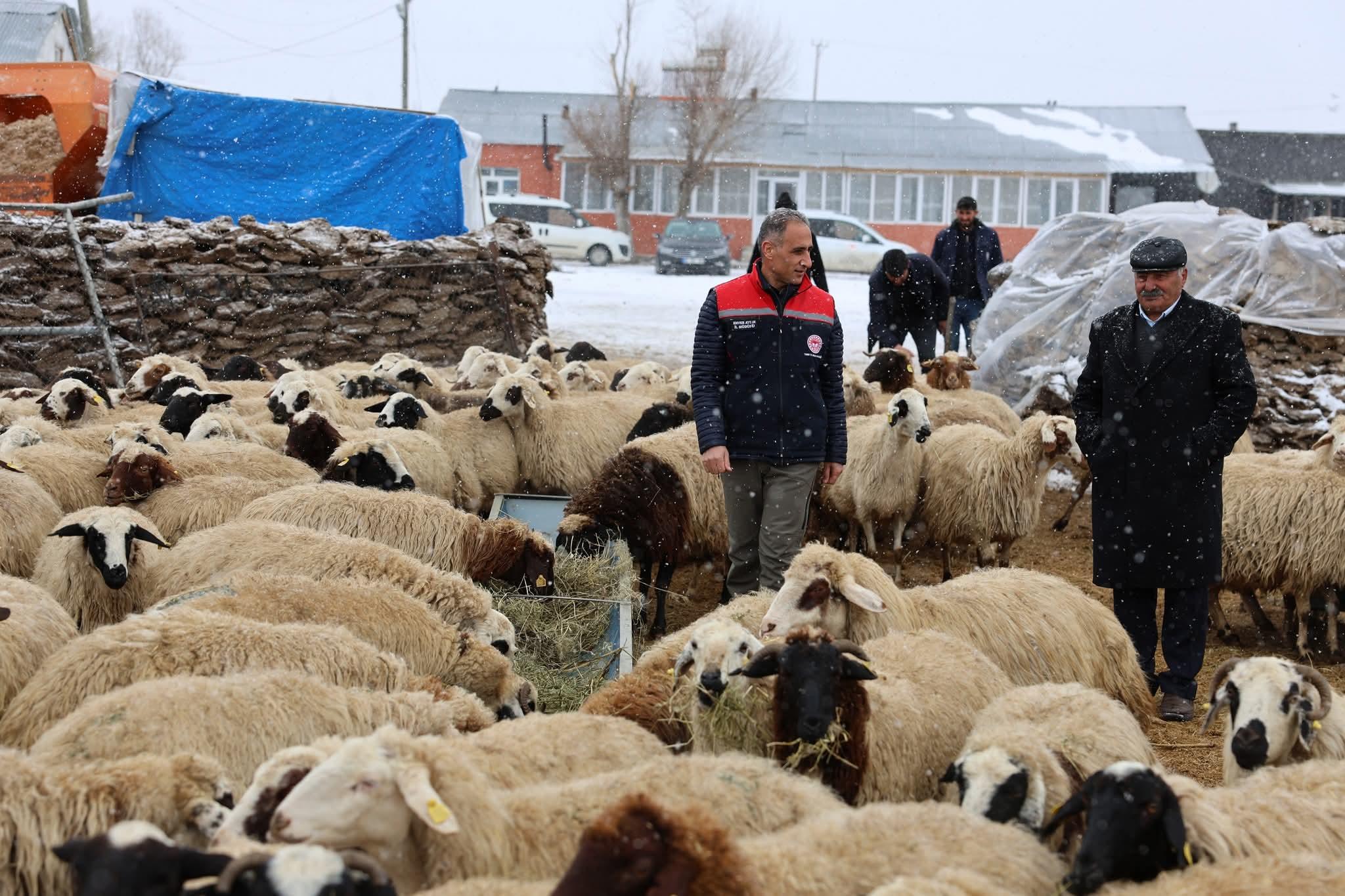 Arpaçay, Akçalar Köyü’nde yeni yılın ilk doğumları başladı