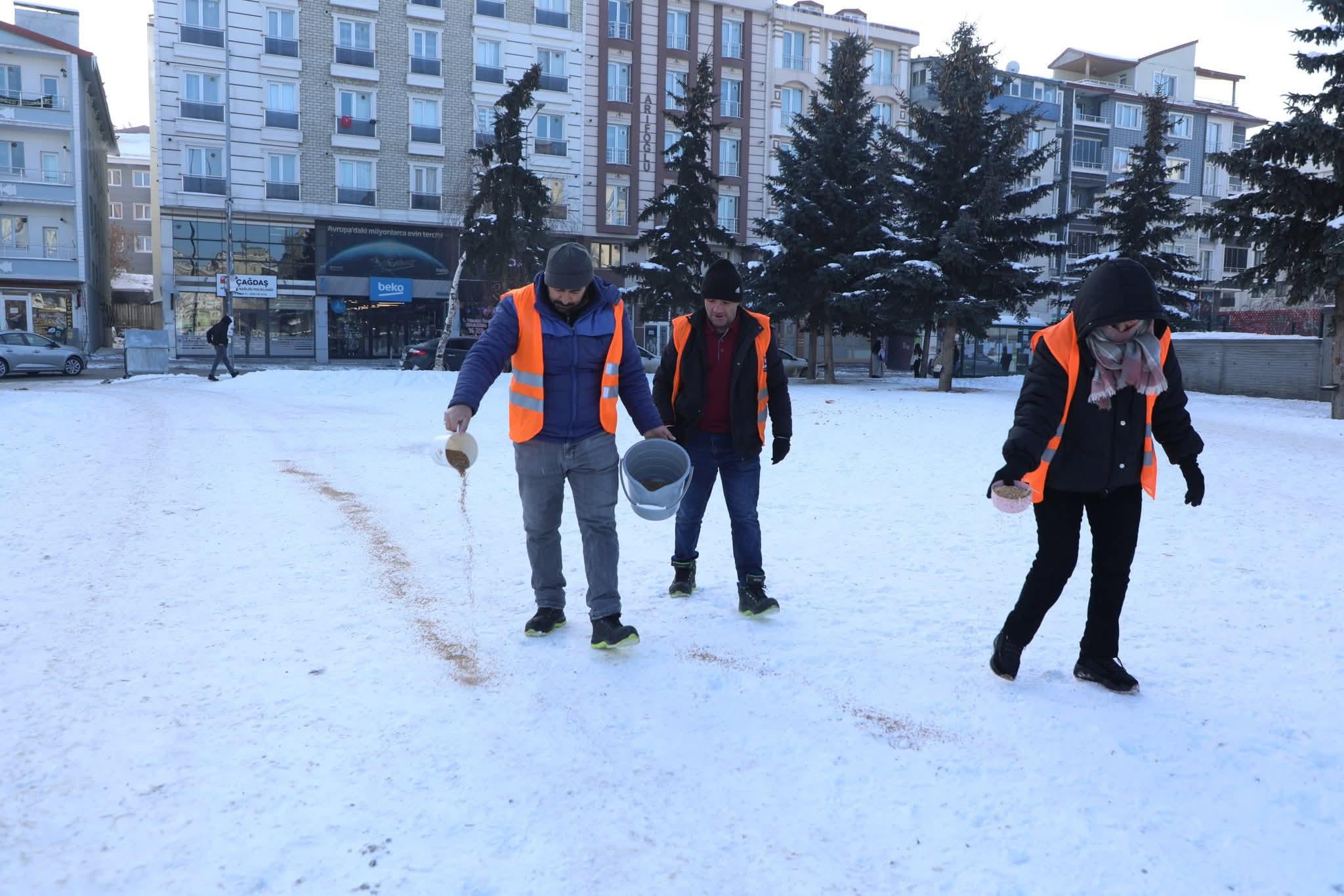 Kars Belediyesi’nden şefkat eli: Kanatlı dostlar unutulmadı