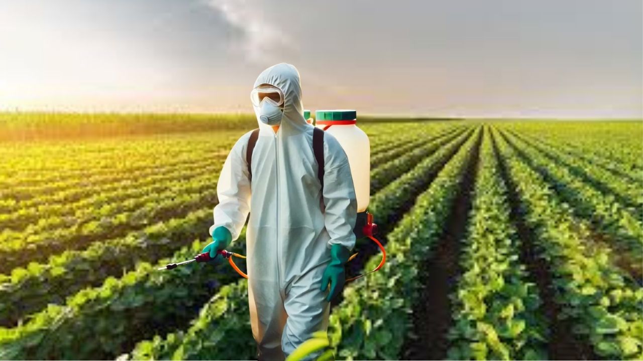 Tarımda B-Reçete dönemi: Zirai ilaçlar reçeteyle takip edilecek