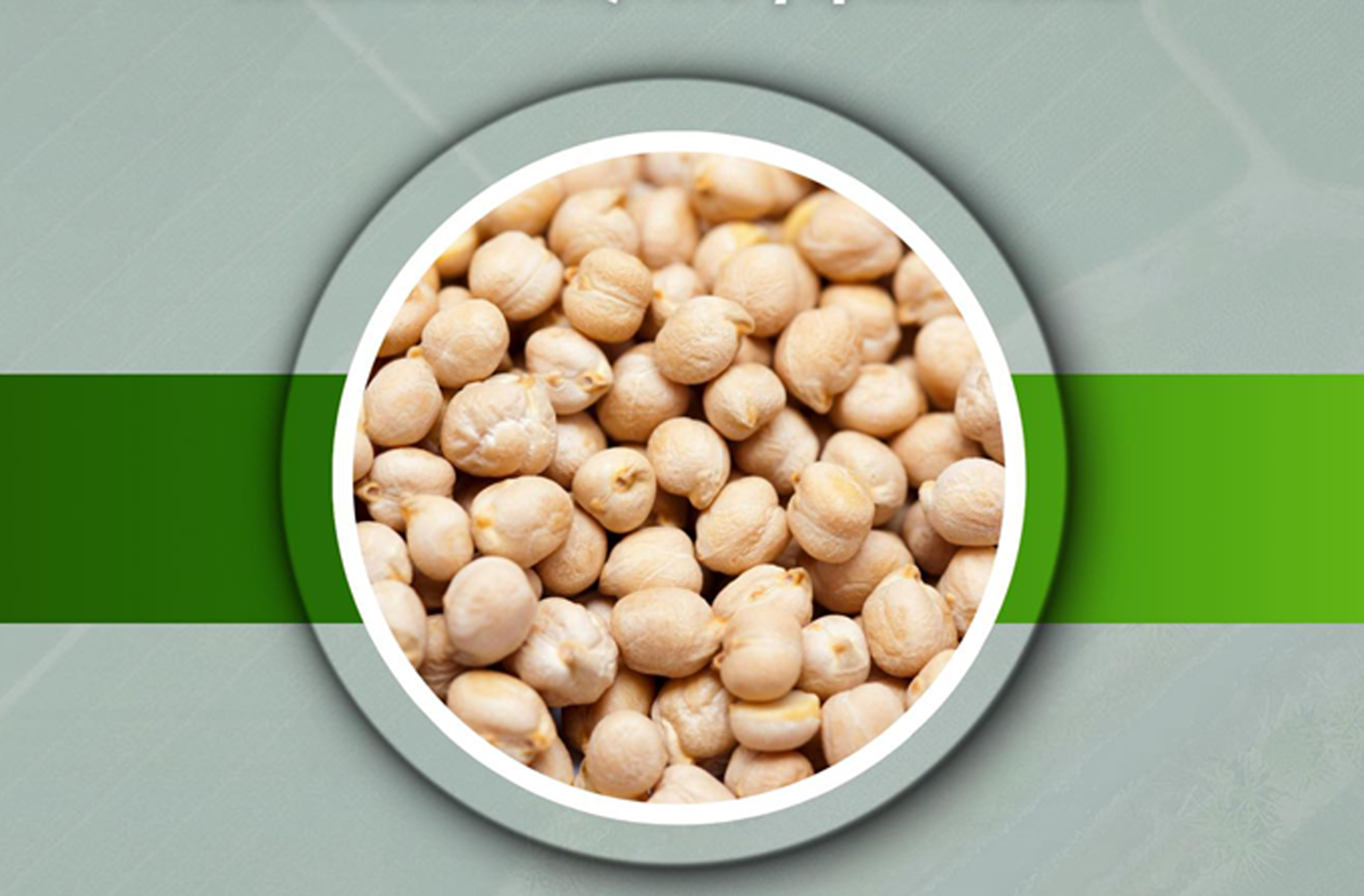 Başkan Dr. Özer Kasap: Nohut tohumu desteği başvuruları alınıyor