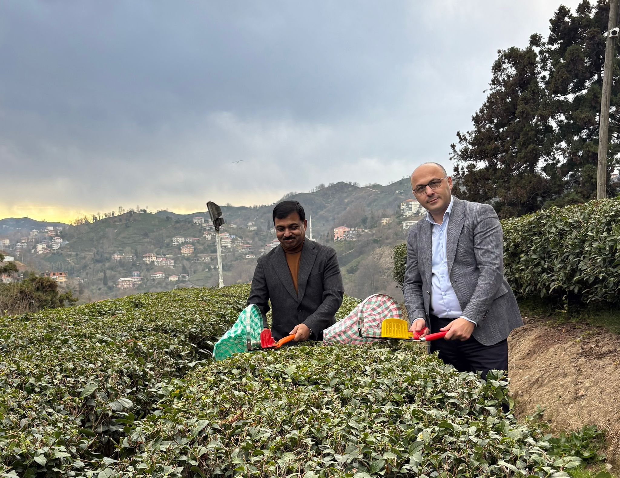 Hindistan’ın Türkiye Büyükelçisi Rize’de: Türkiye’ye gelince günde 7-8 bardak çay içiyorum